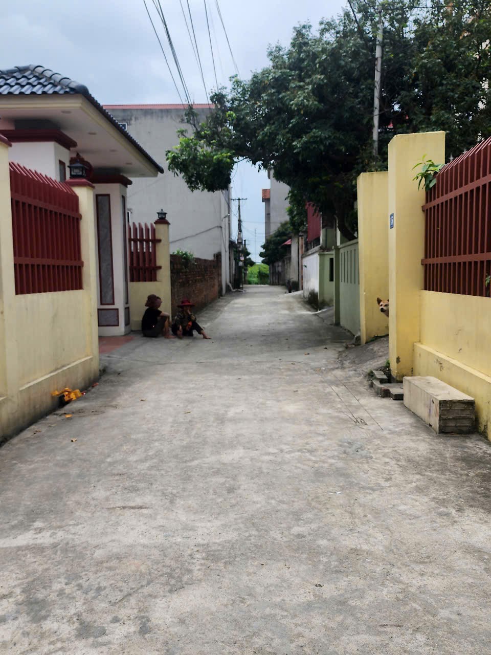 Siêu phẩm giá đẹp yên tàng bắc phú