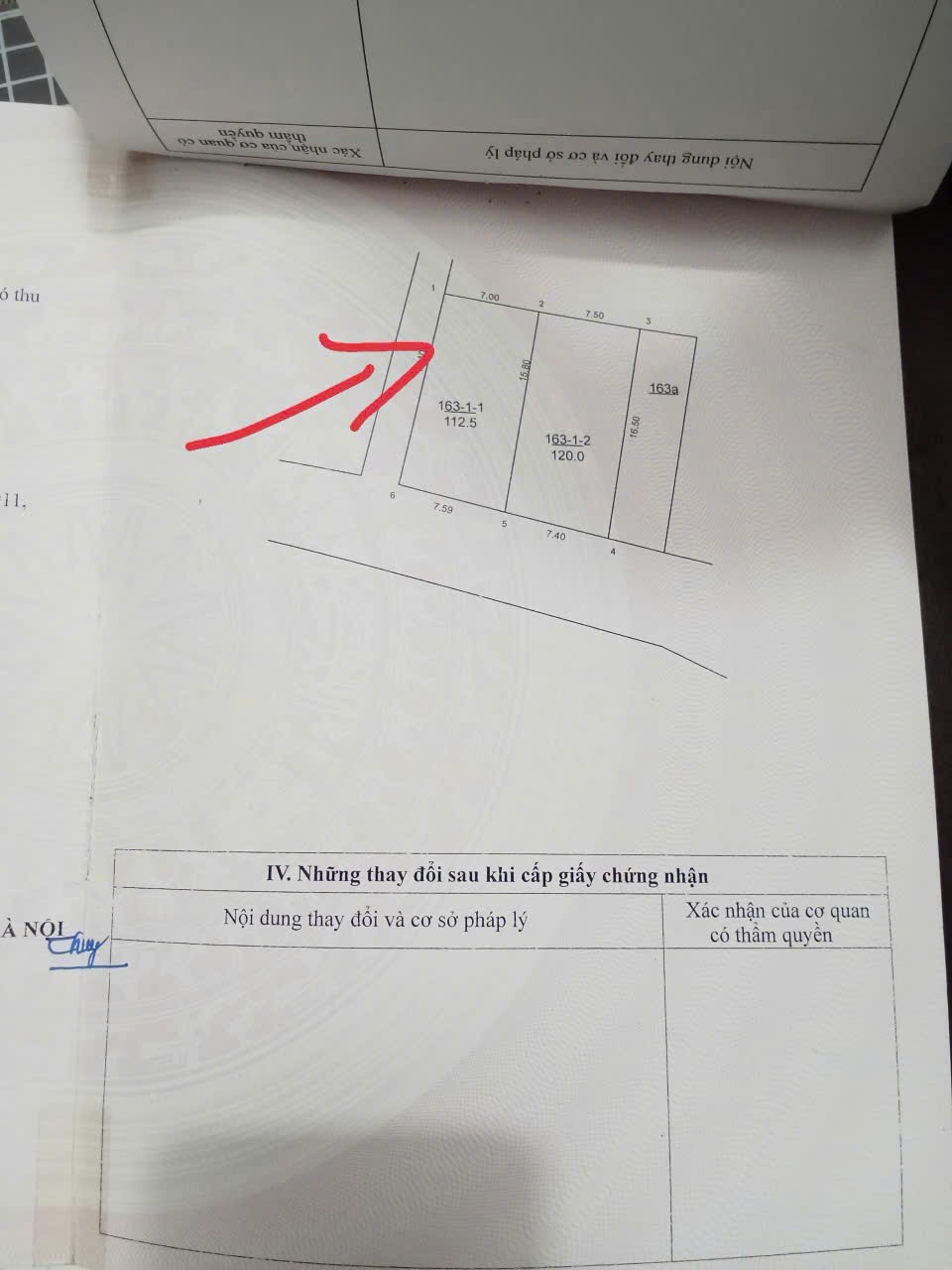 Bán siêu phẩm đông lai quang tiến