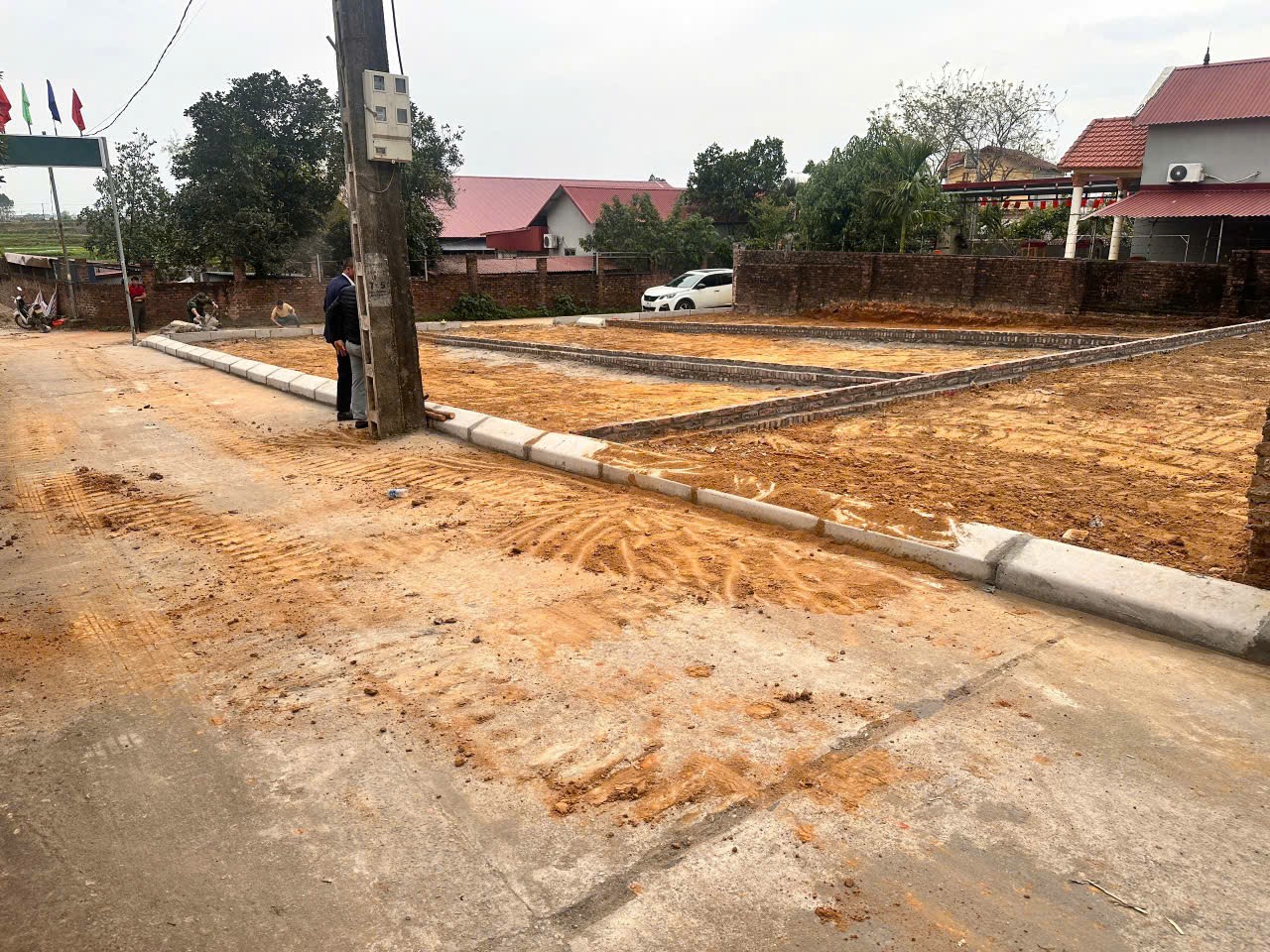 Siêu phẩm đan tảo sóc sơn