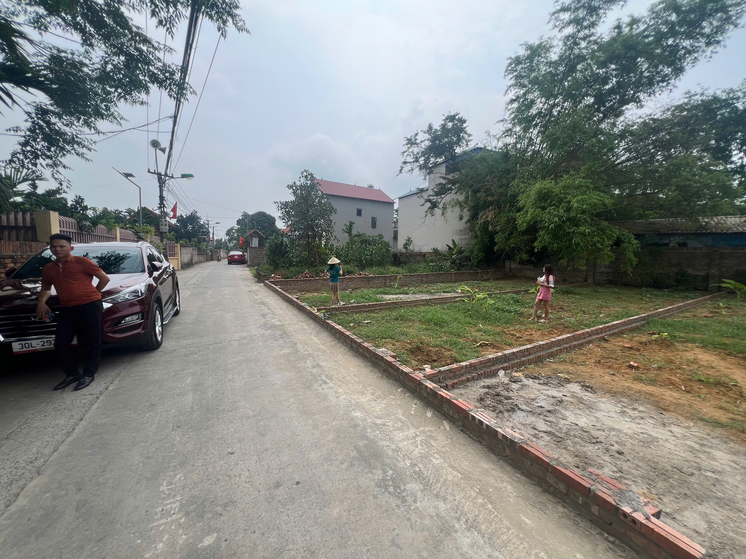 Siêu phẩm trục chính kinh doanh đan tảo tân minh