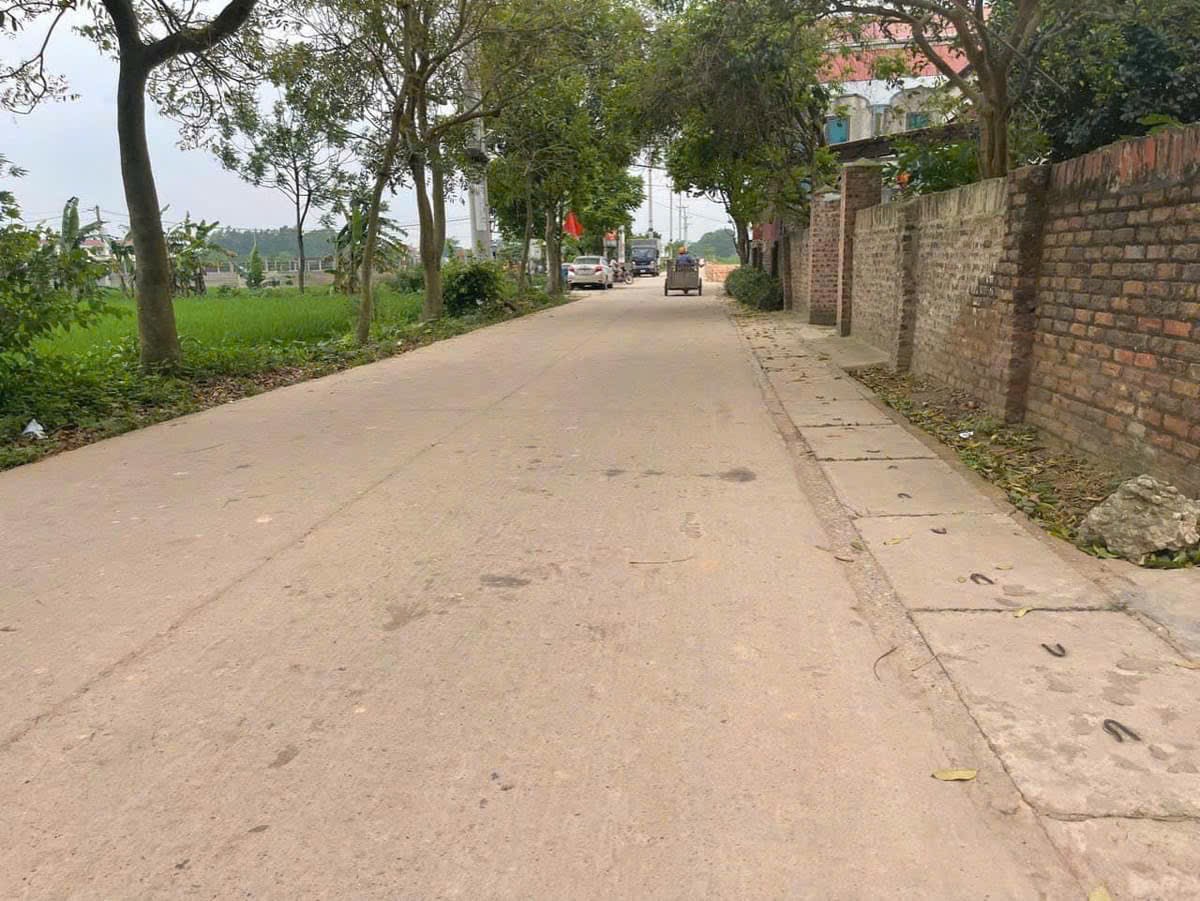 Bán siêu phẩm đông lai quang tiến