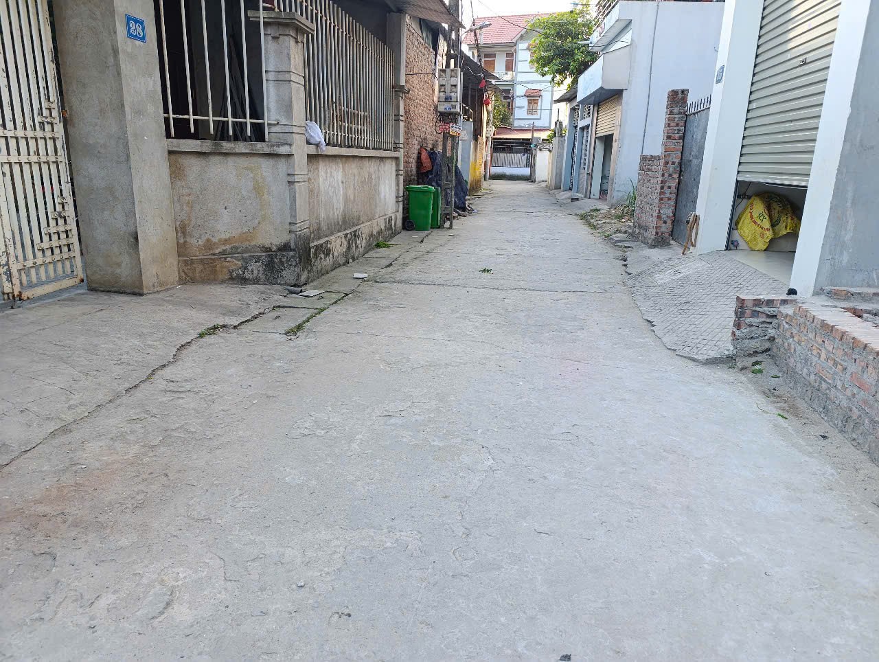 Siêu phẩm Xuân bách quang tiến