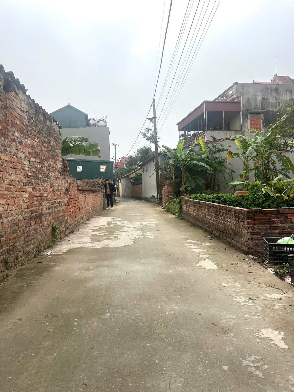Siêu phẩm song Mai đoài sóc sơn