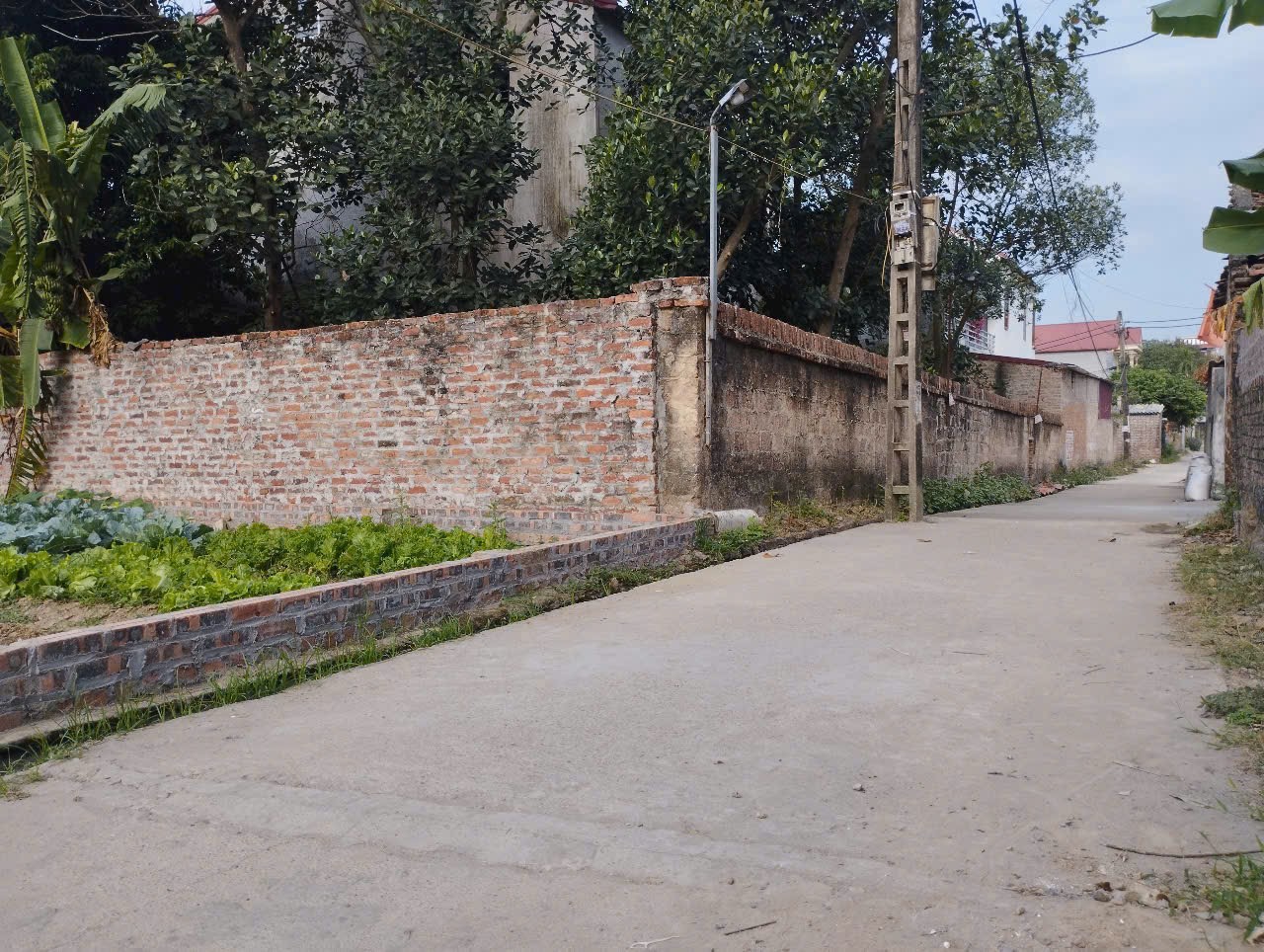 Siêu phẩm  nam cương