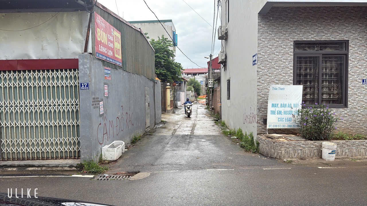Siêu phẩm đông xuân sóc sơn