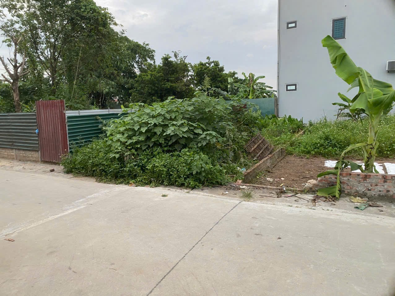 Siêu phẩm thôn đông phú minh