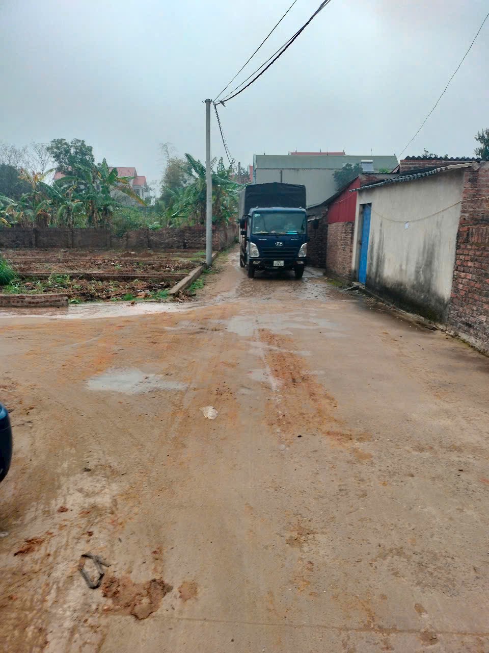 Siêu phẩm phù linh giá đẹp đầu tư