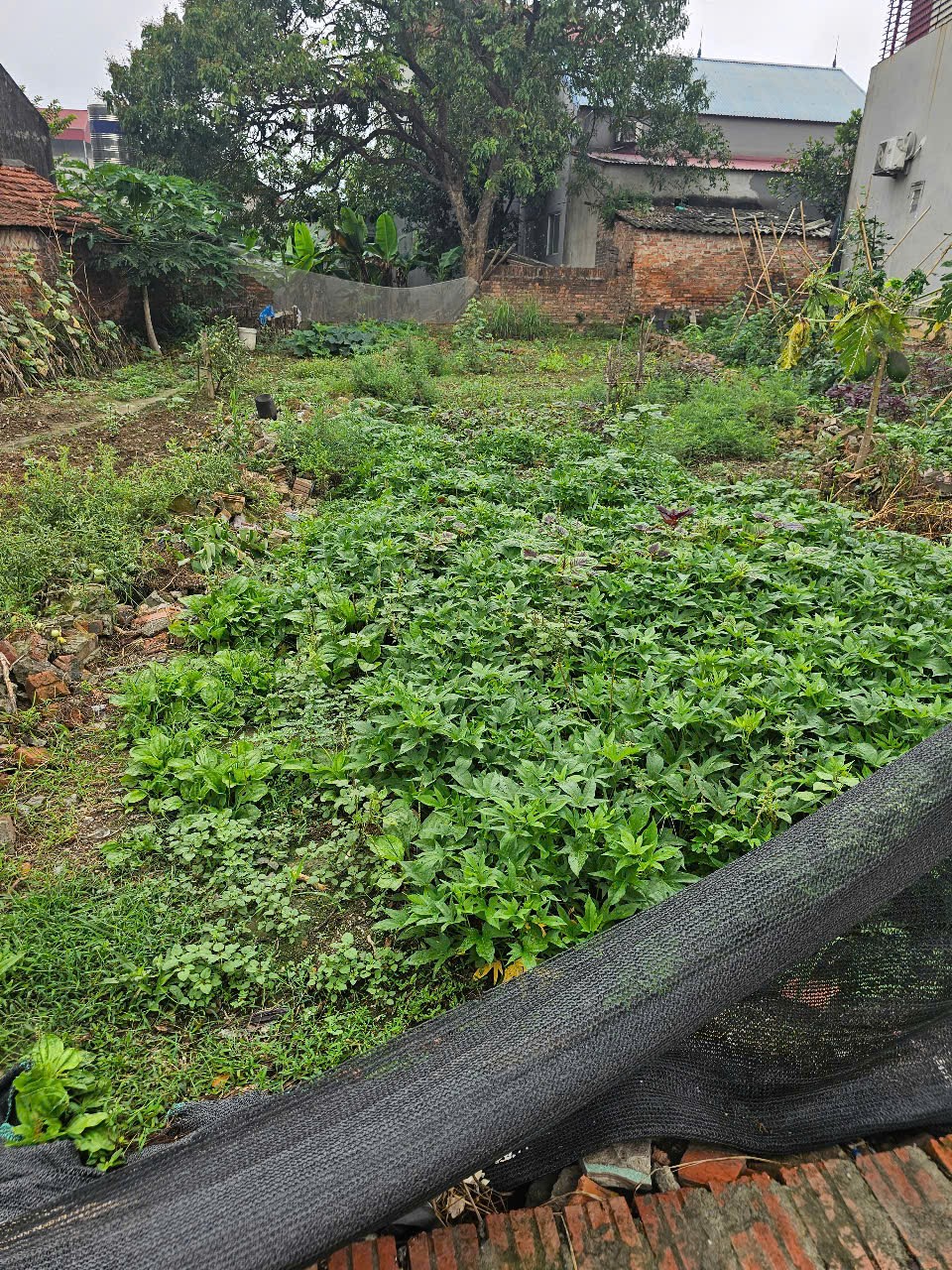 Siêu phẩm phân lô phù linh sóc sơn