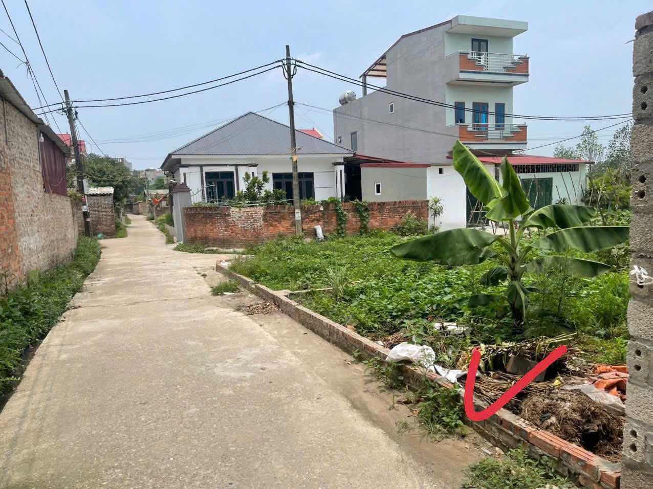 Siêu phẩm nam cương hiền ninh sóc sơn