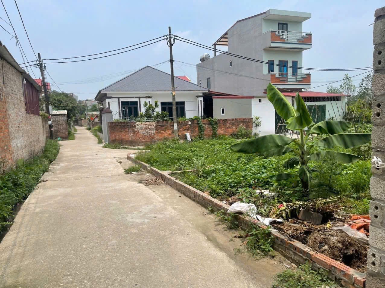 Siêu phẩm nam cương hiền ninh sóc sơn