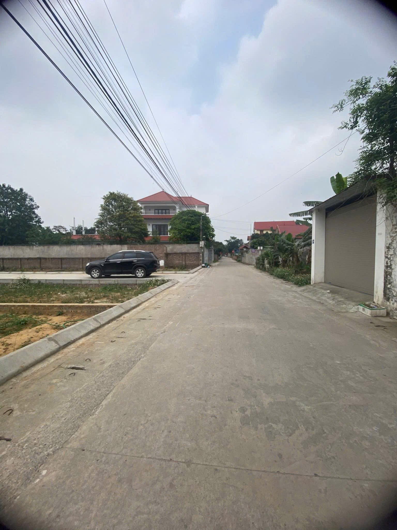 Siêu phẩm đan tảo tân minh