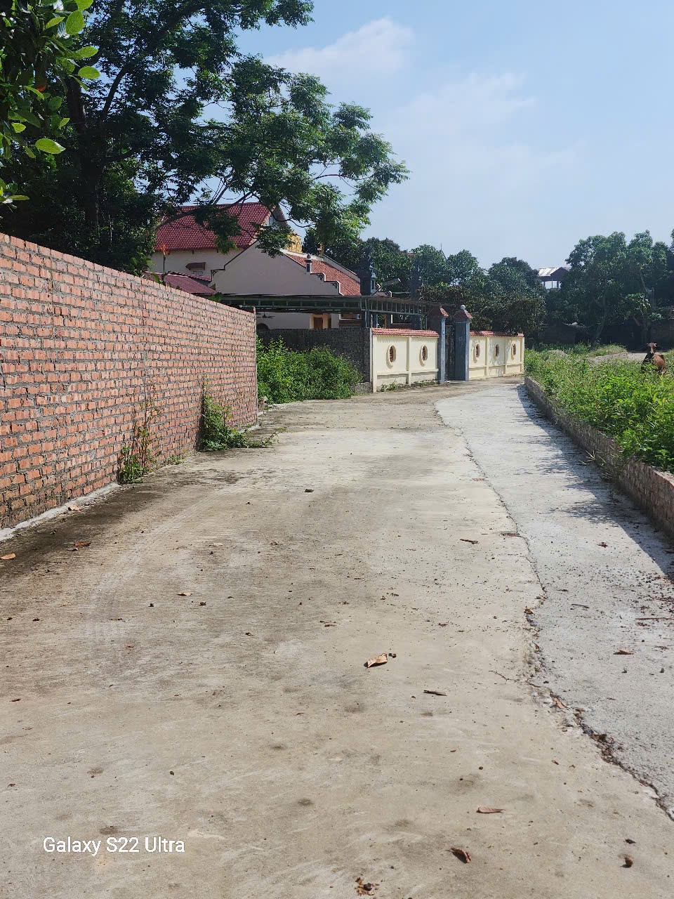 Siêu phẩm minh trí ss