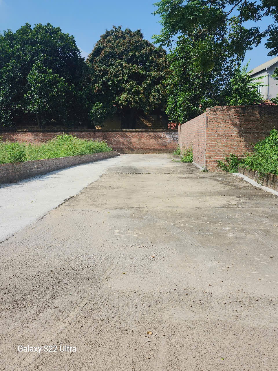 Siêu phẩm minh trí ss