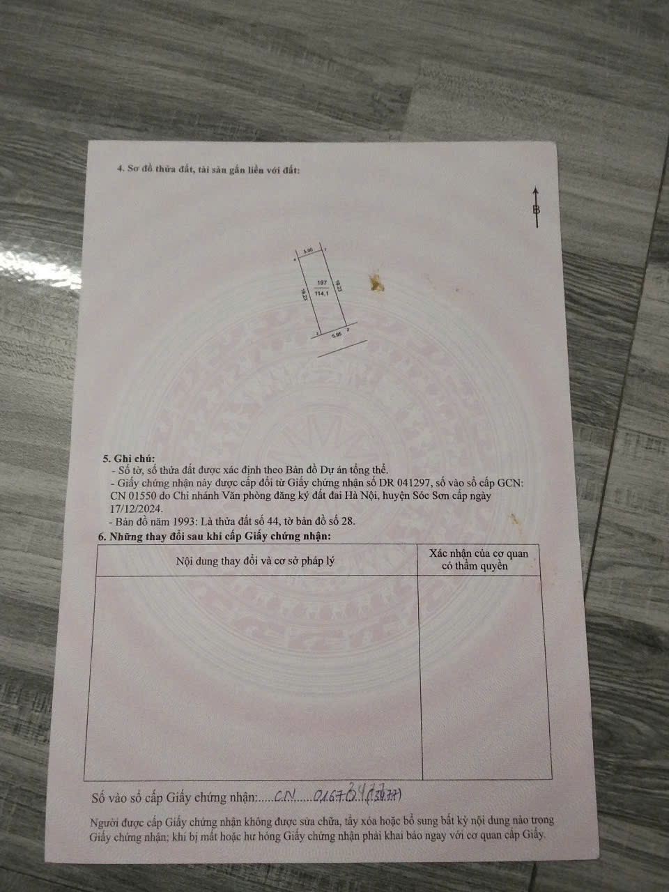 Siêu phẩm trục chính nam cương kim anh