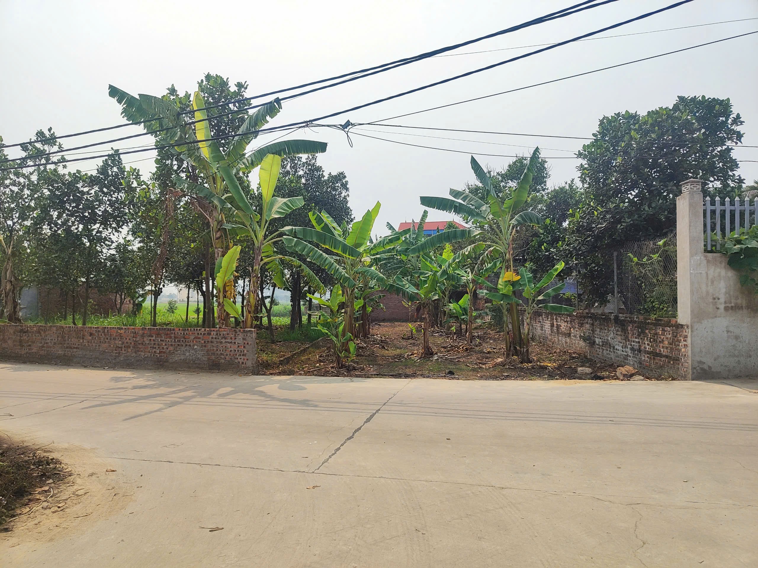 Siêu phẩm minh trí sóc sơn