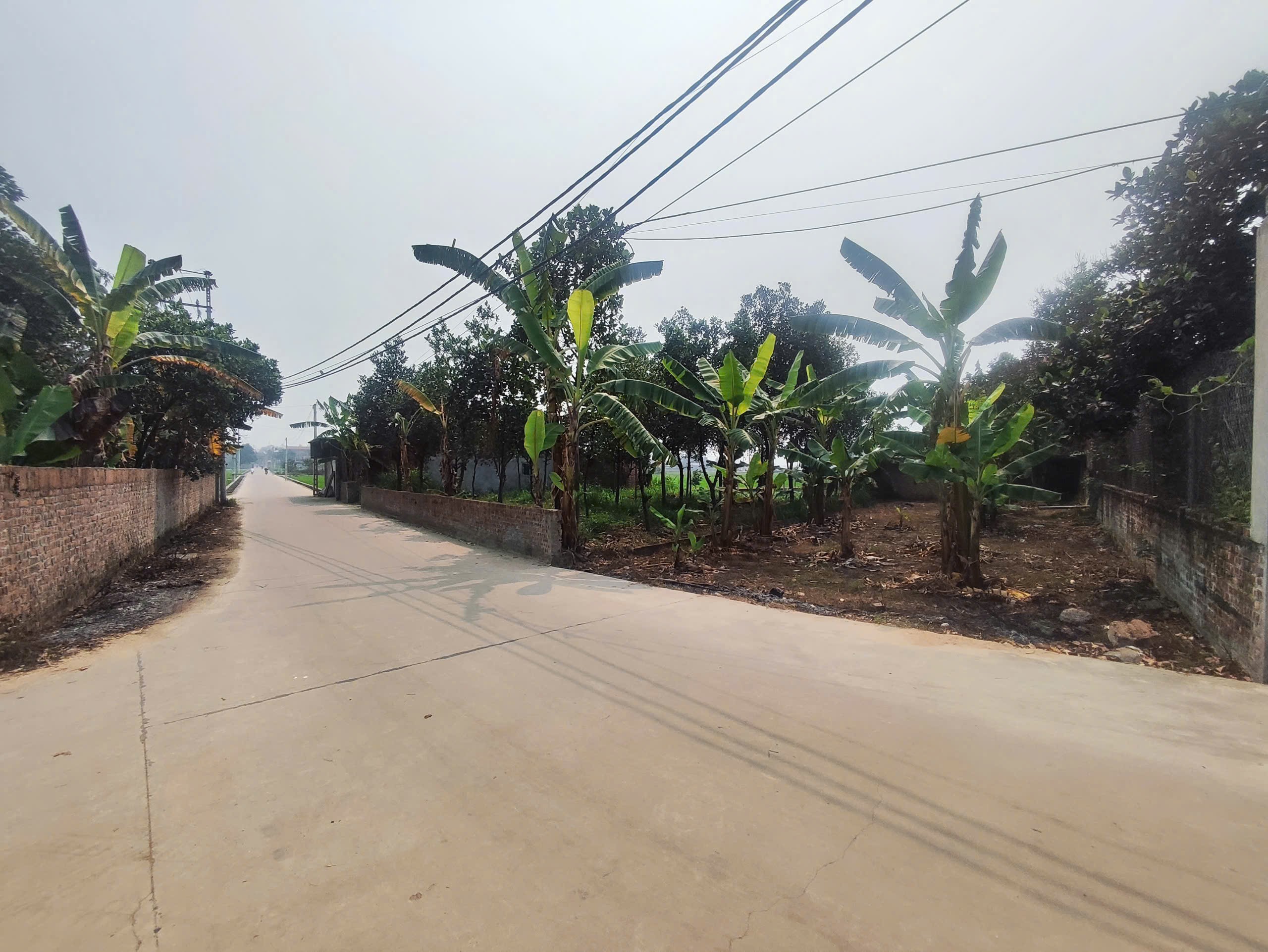 Siêu phẩm minh trí sóc sơn