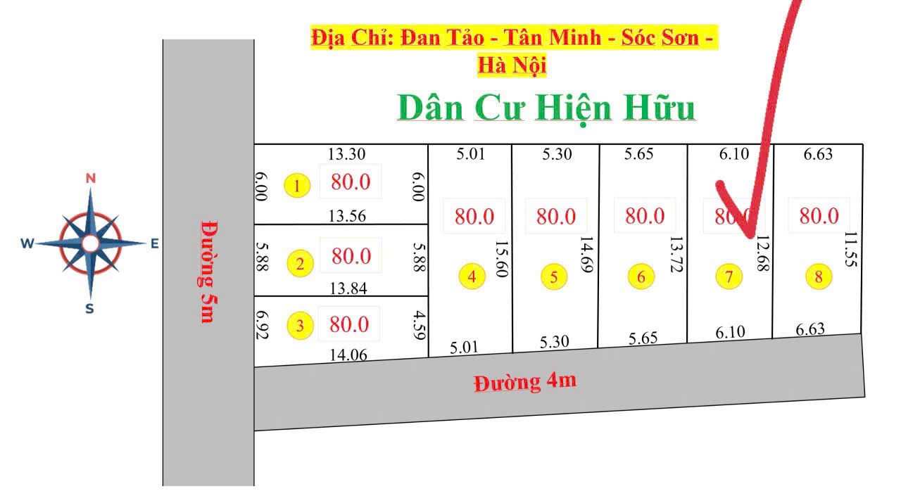 Siêu phẩm đan tảo sóc sơn