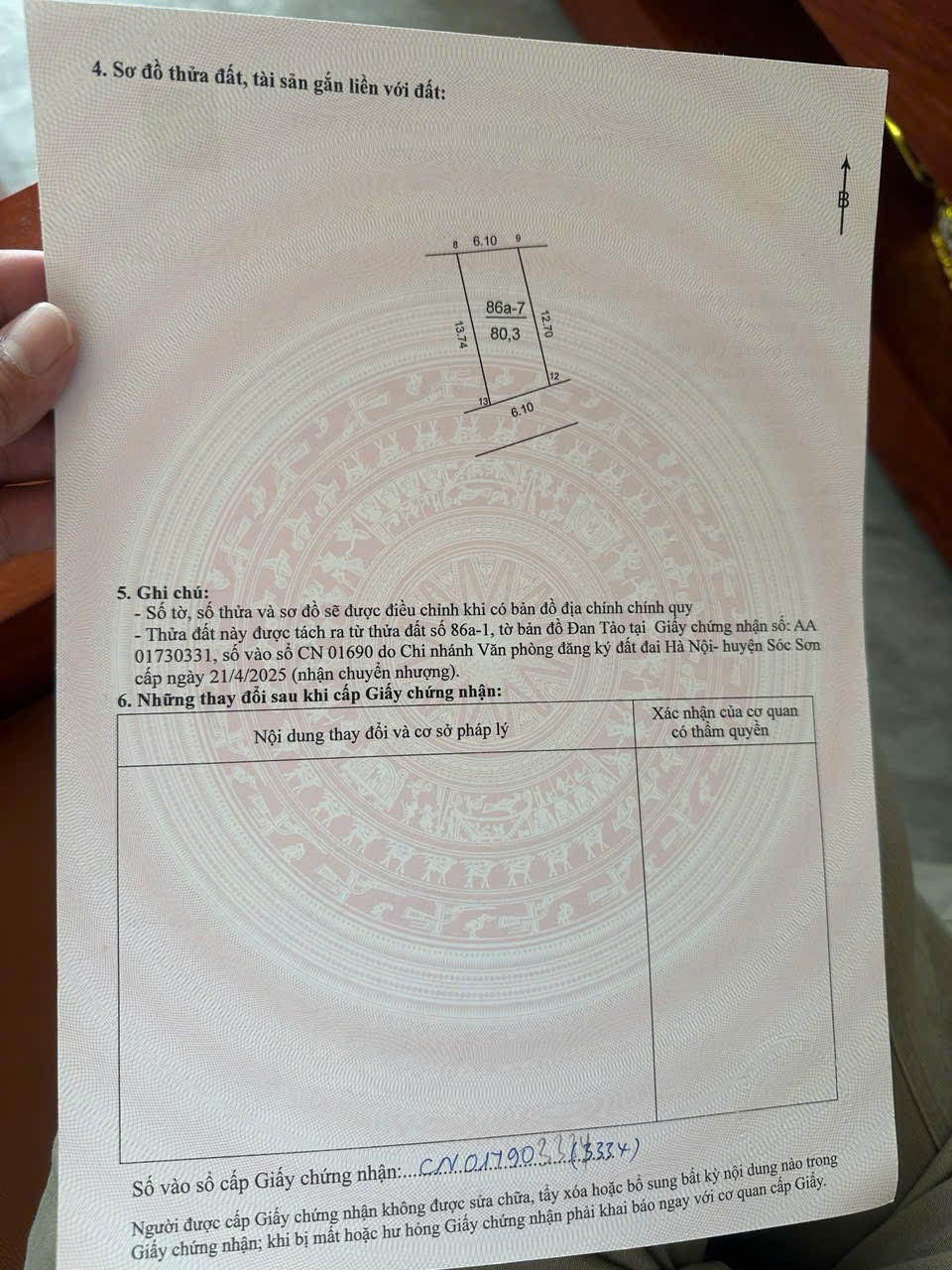 Siêu phẩm đan tảo sóc sơn