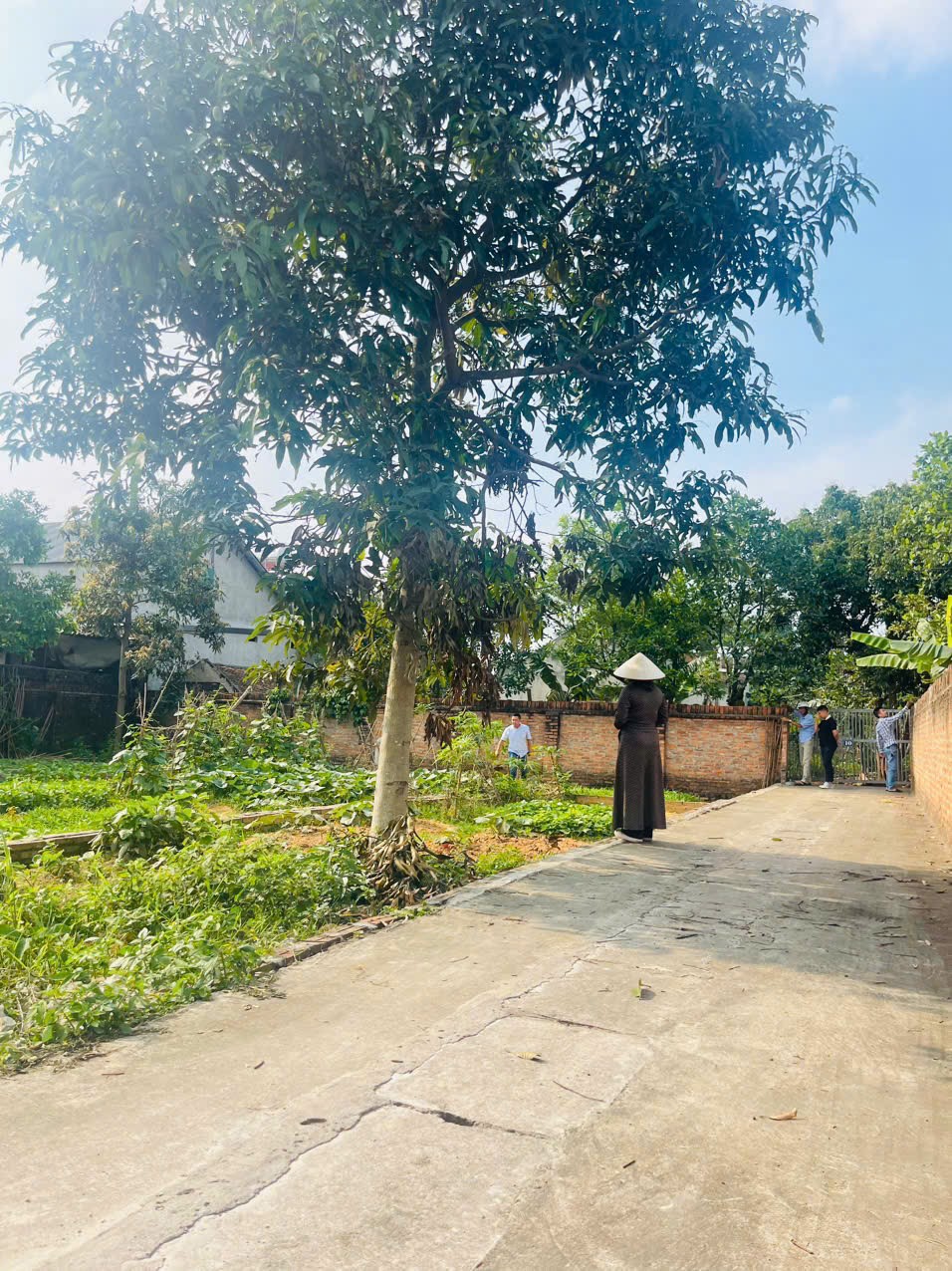 Chỉ 1.7 tỷ có ngay lô đất đẹp tại đan tảo sóc sơn