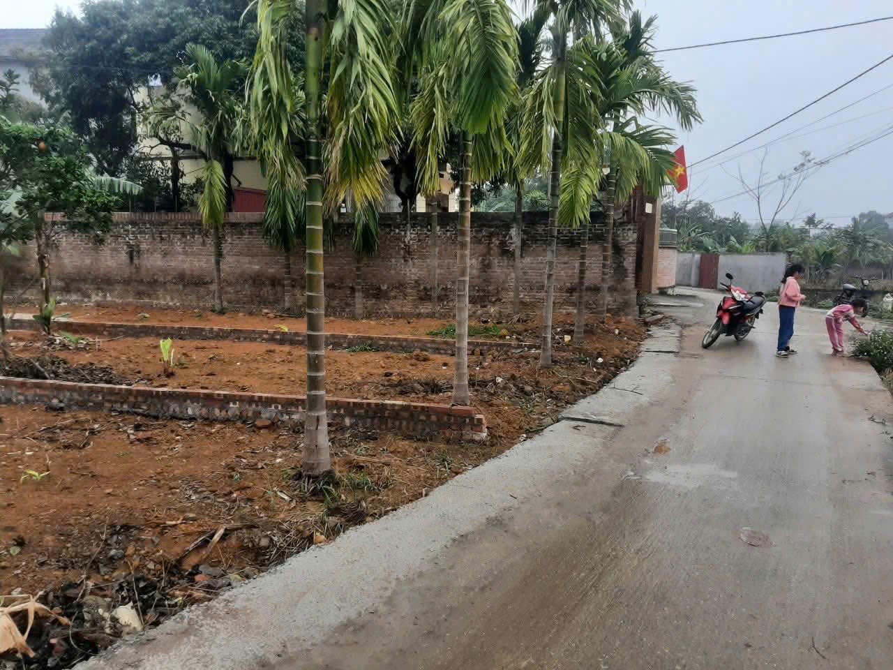 Siêu phẩm tân minh sóc sơn