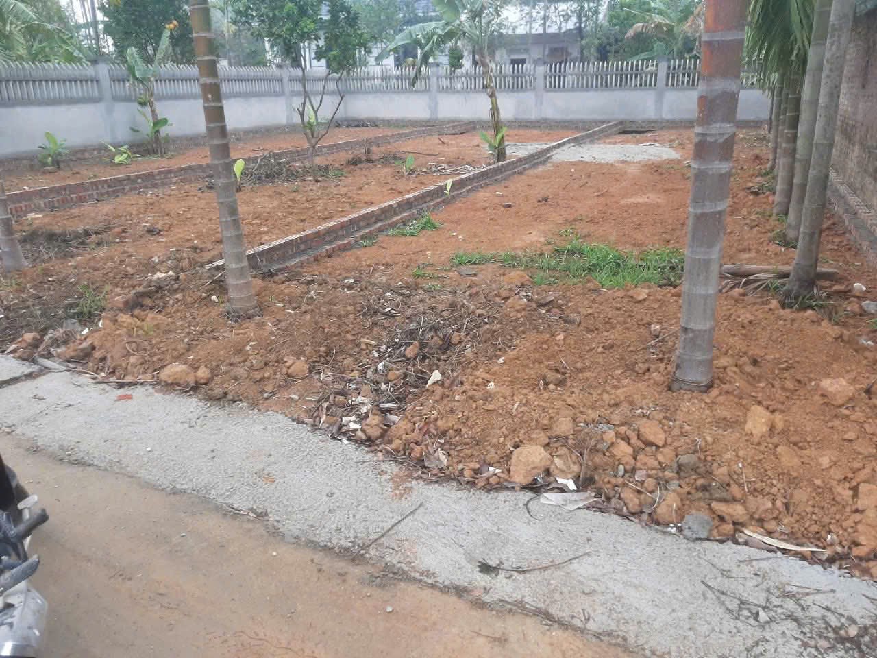 Siêu phẩm tân minh sóc sơn