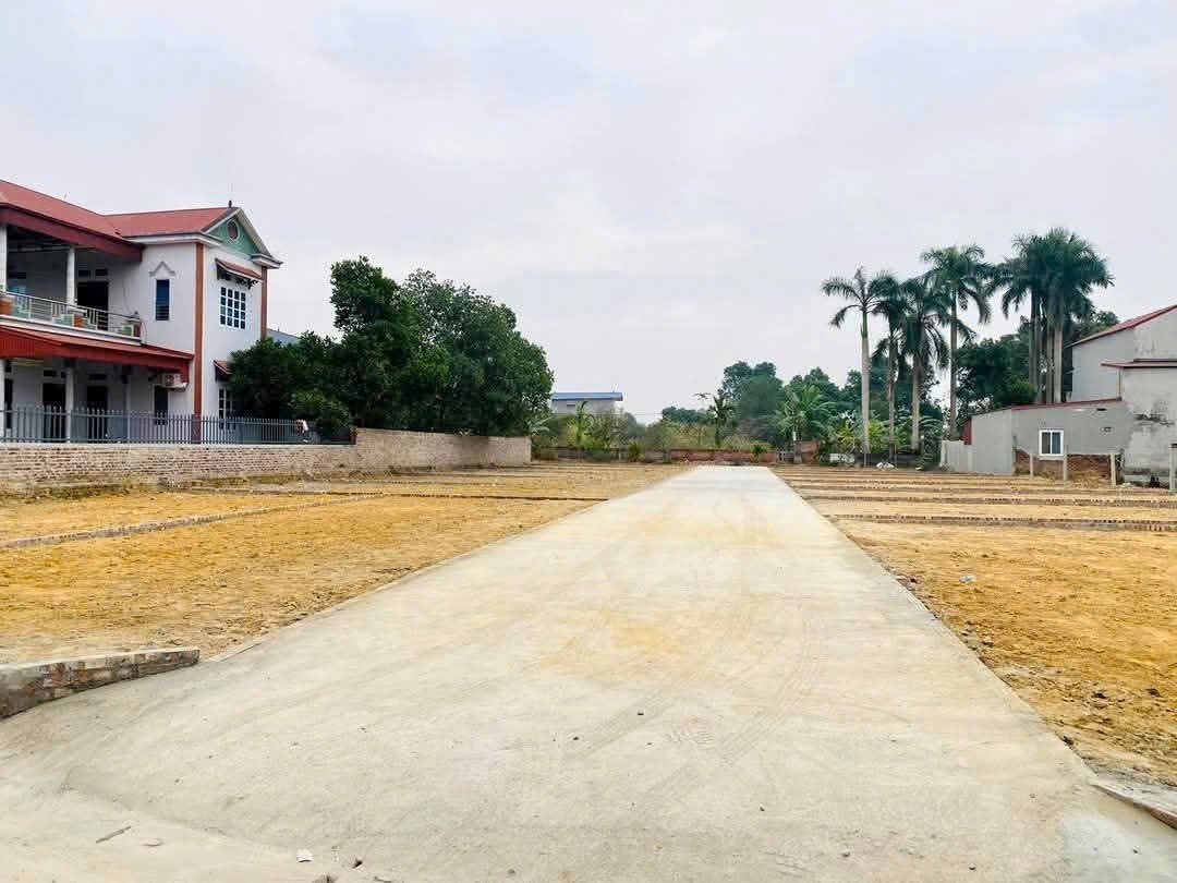 Siêu phẩm lô góc đan