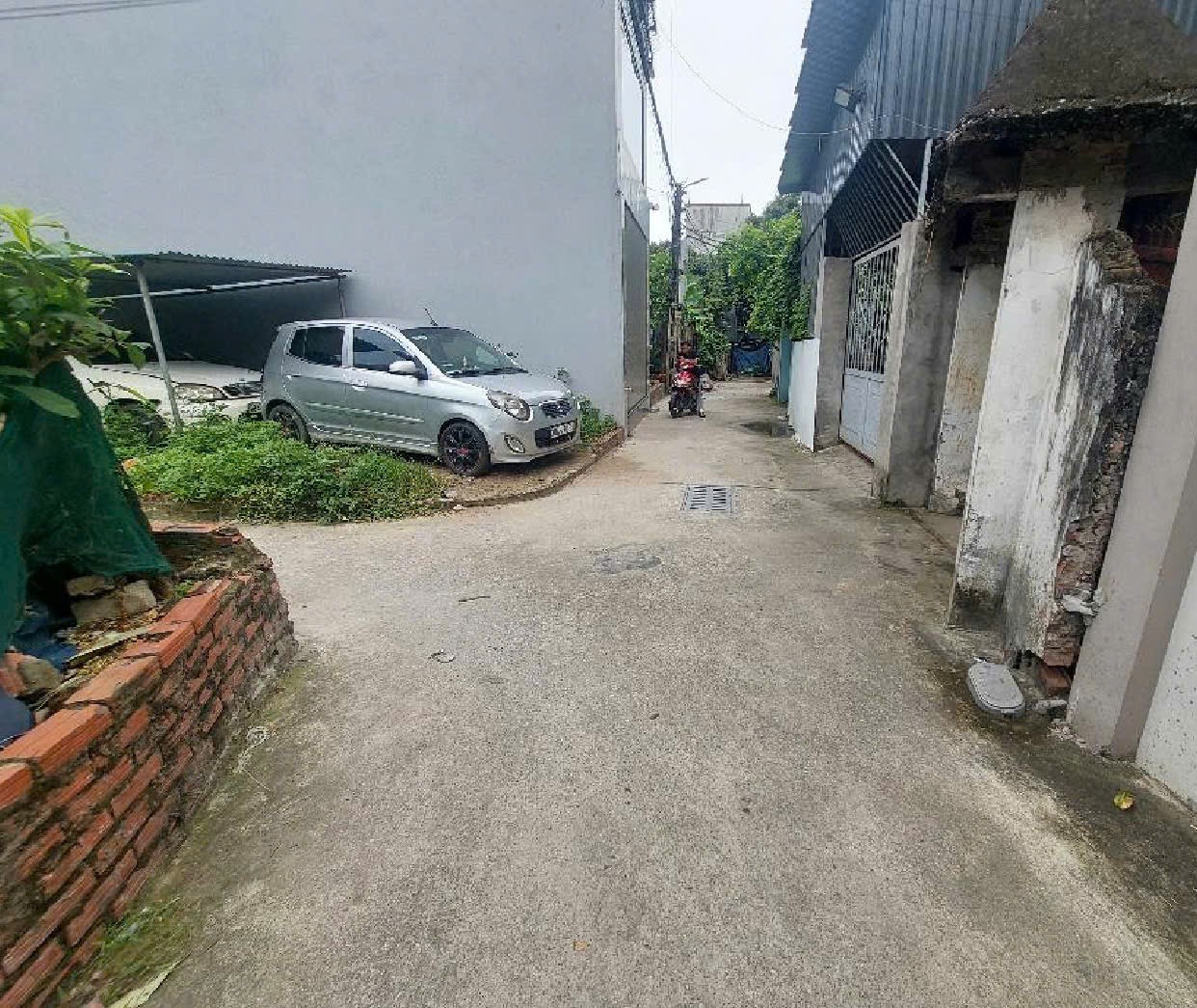 Siêu phẩm cổ dương