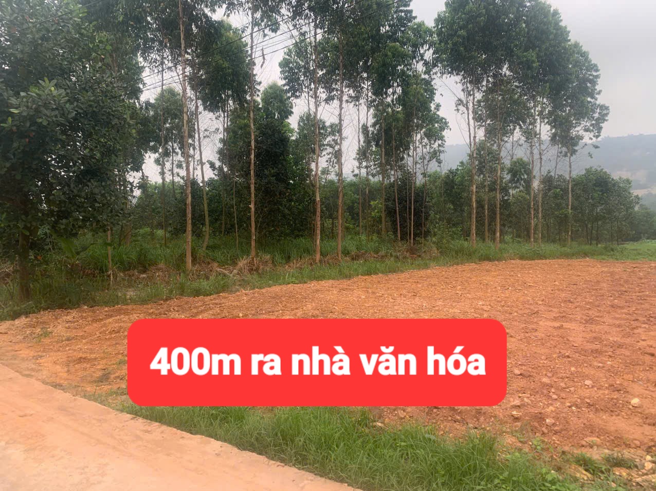 0358357986