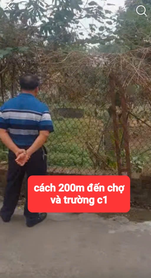 0358357986