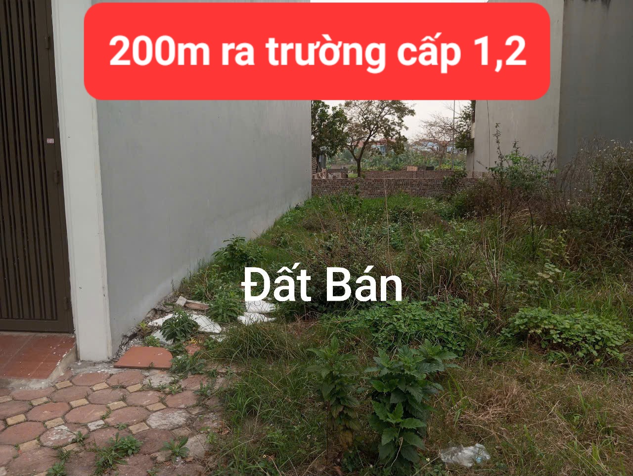 0358357986