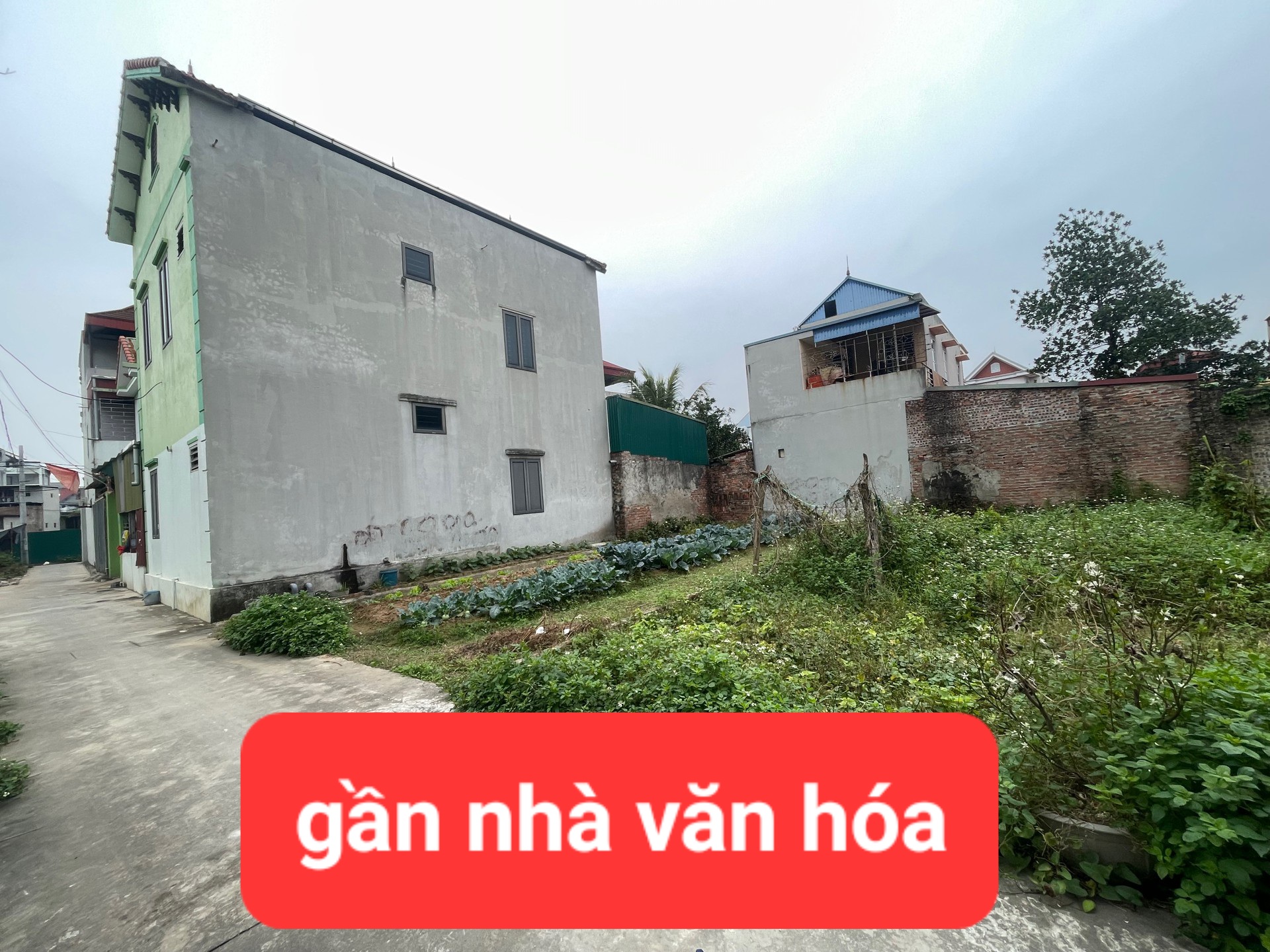 0358357986