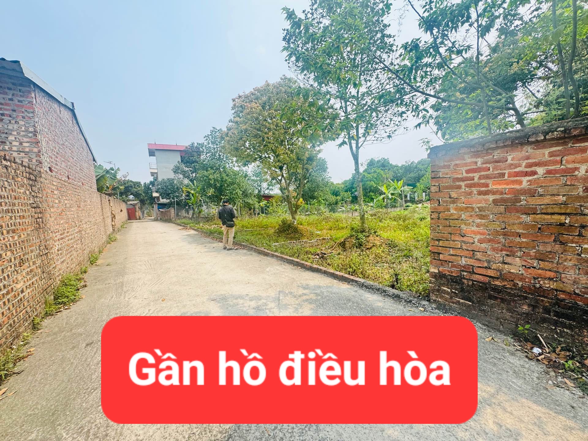 0358357986