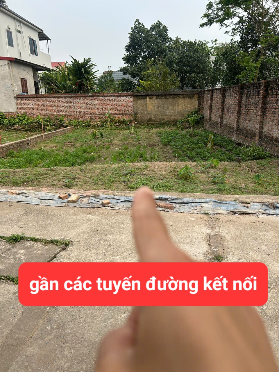 0358357986