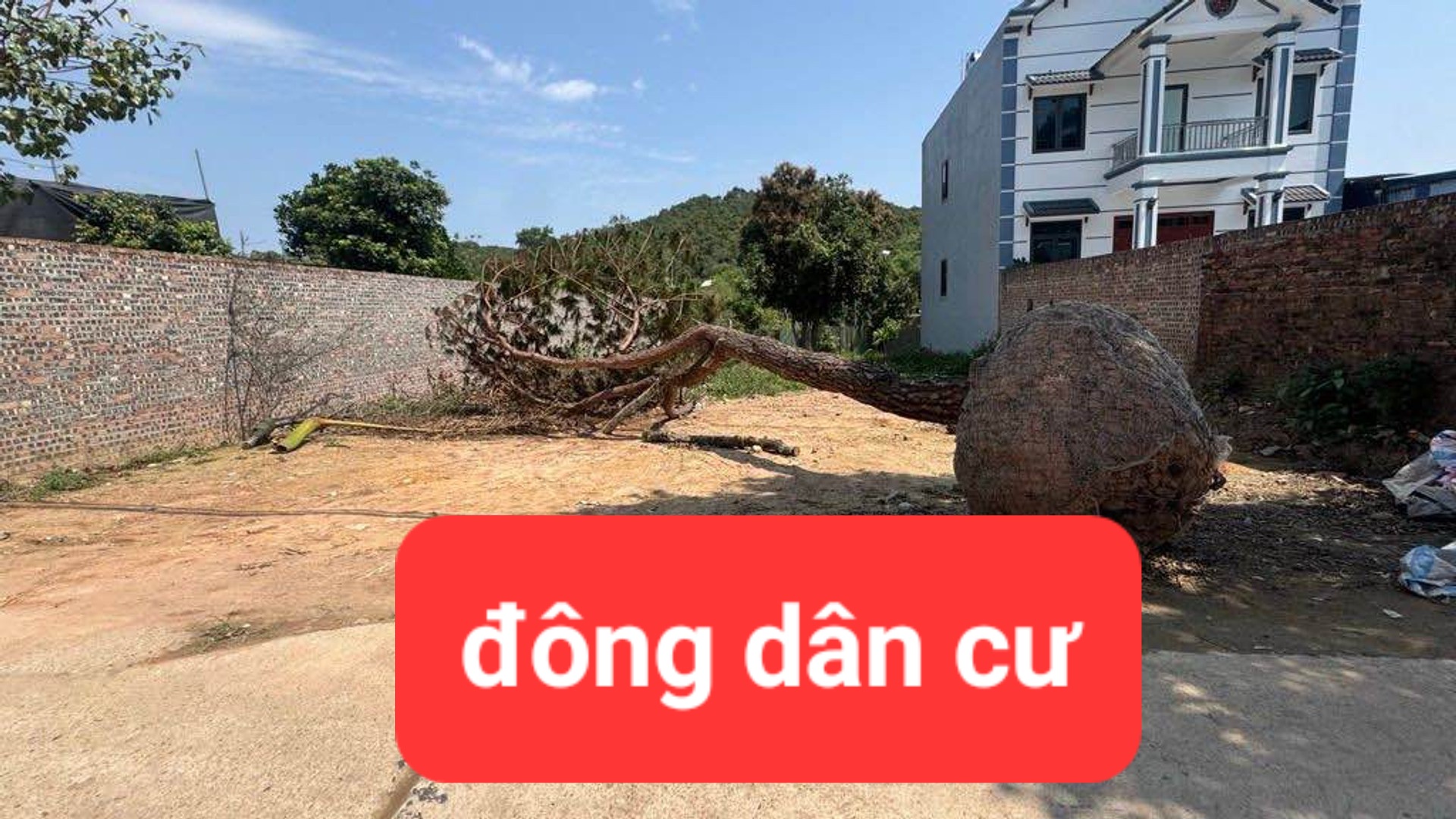 0358357986