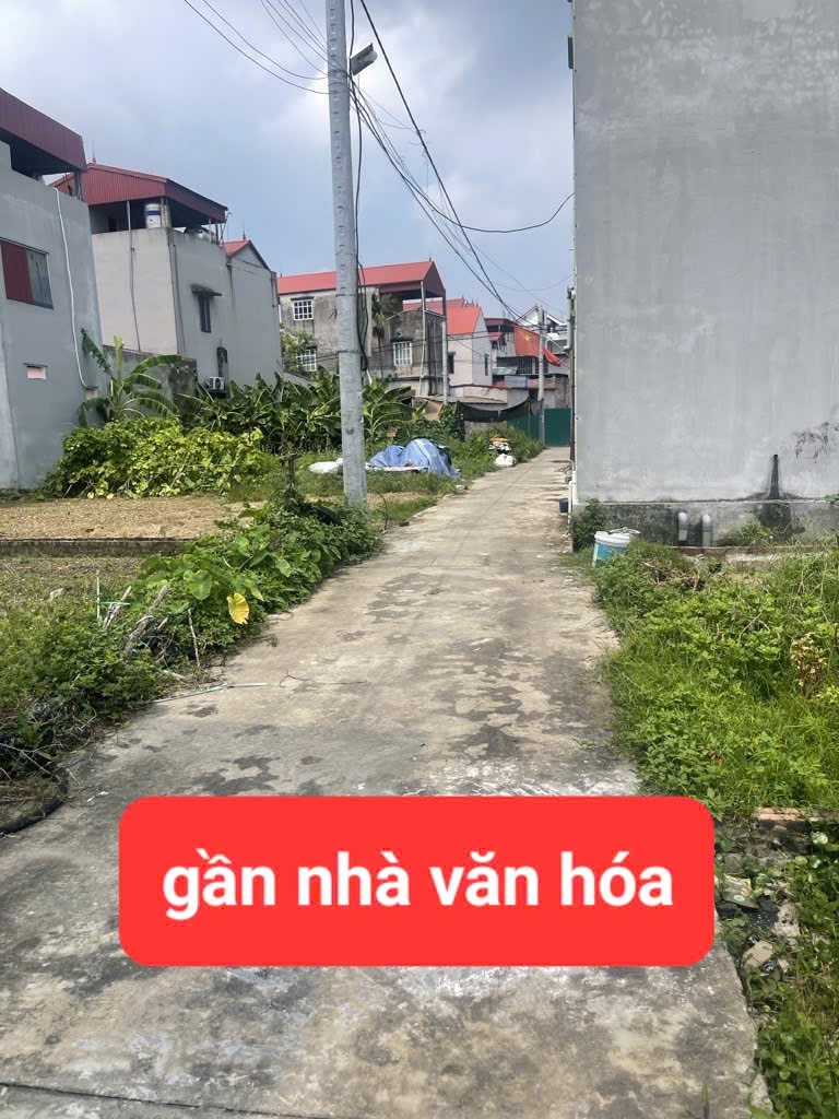 0358357986