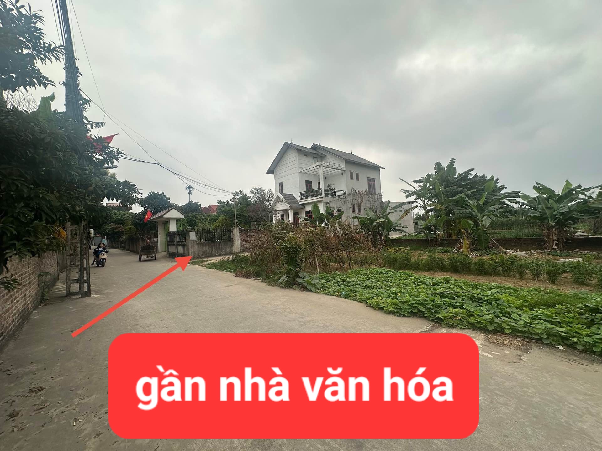 0358357986