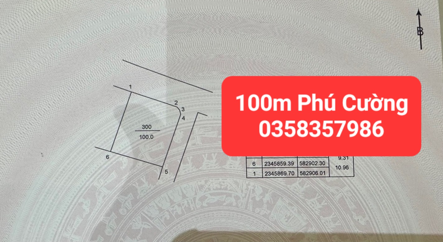0358357986