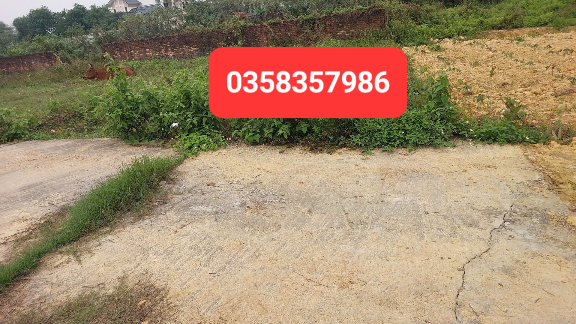0358357986