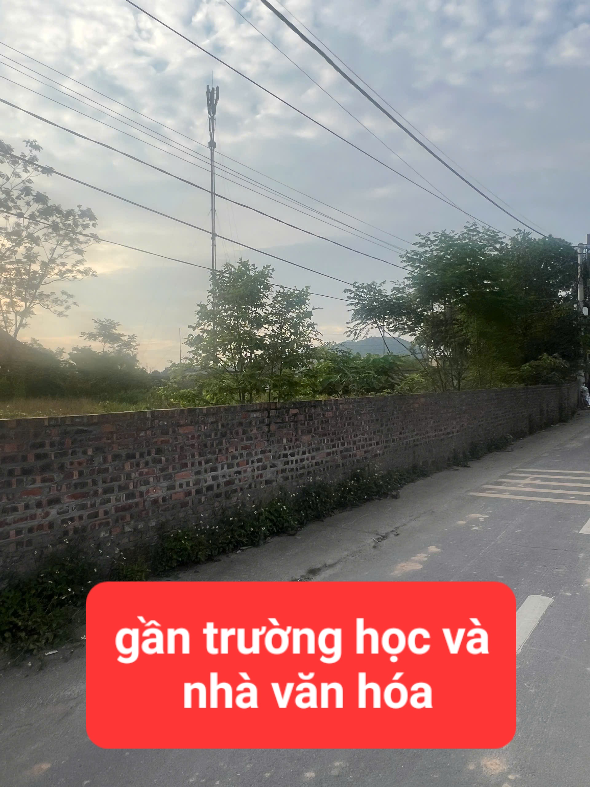 0358357986