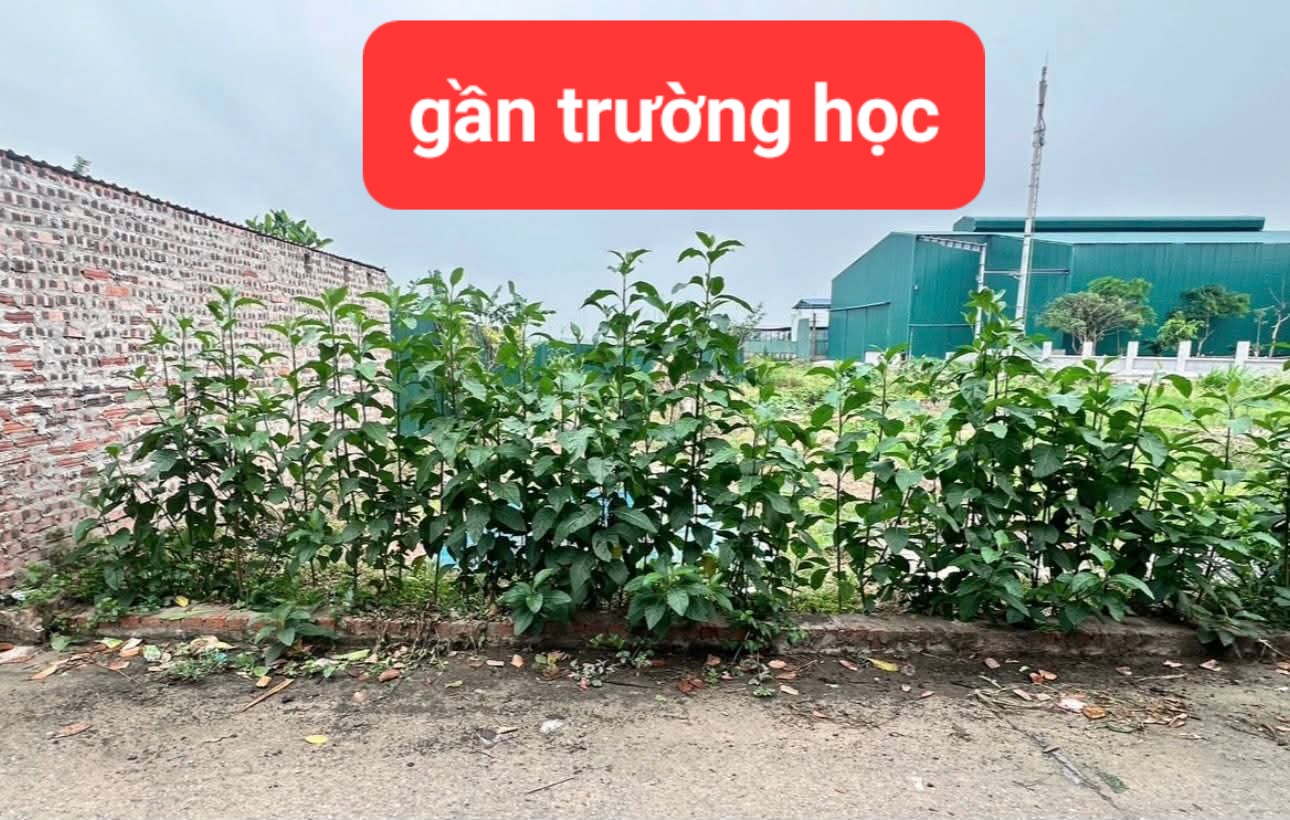 0358357986