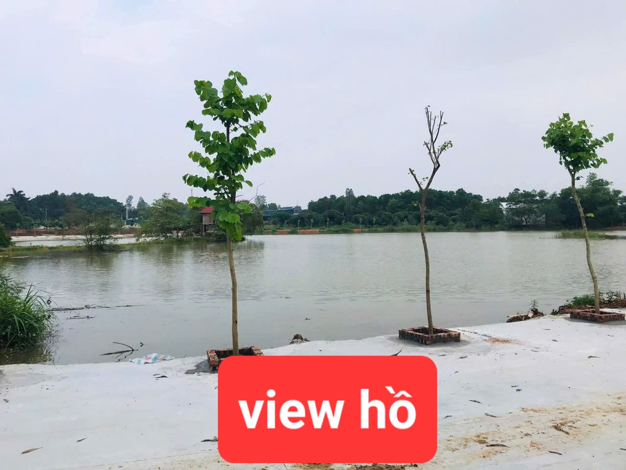 0358357986