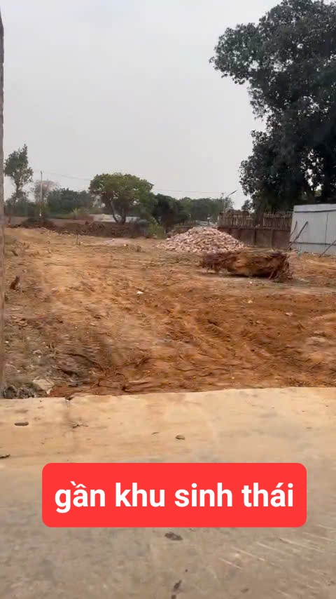 0358357986