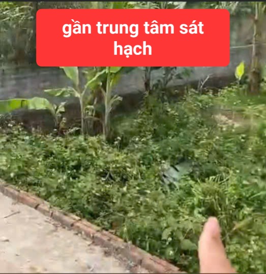 0358357986