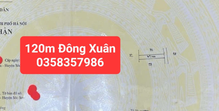0358357986
