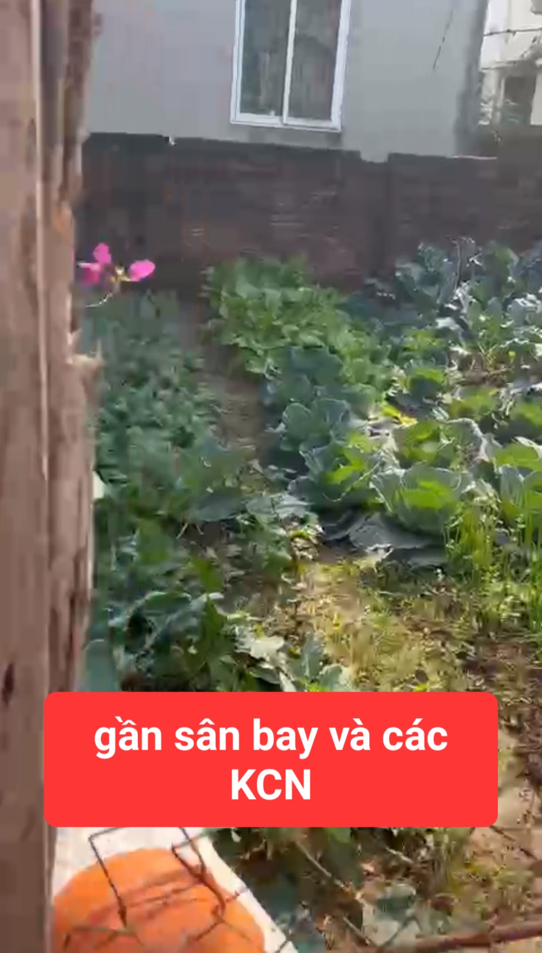 0358357986