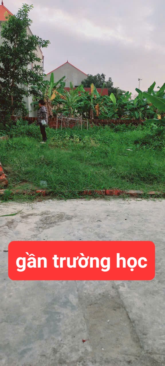 0358357986