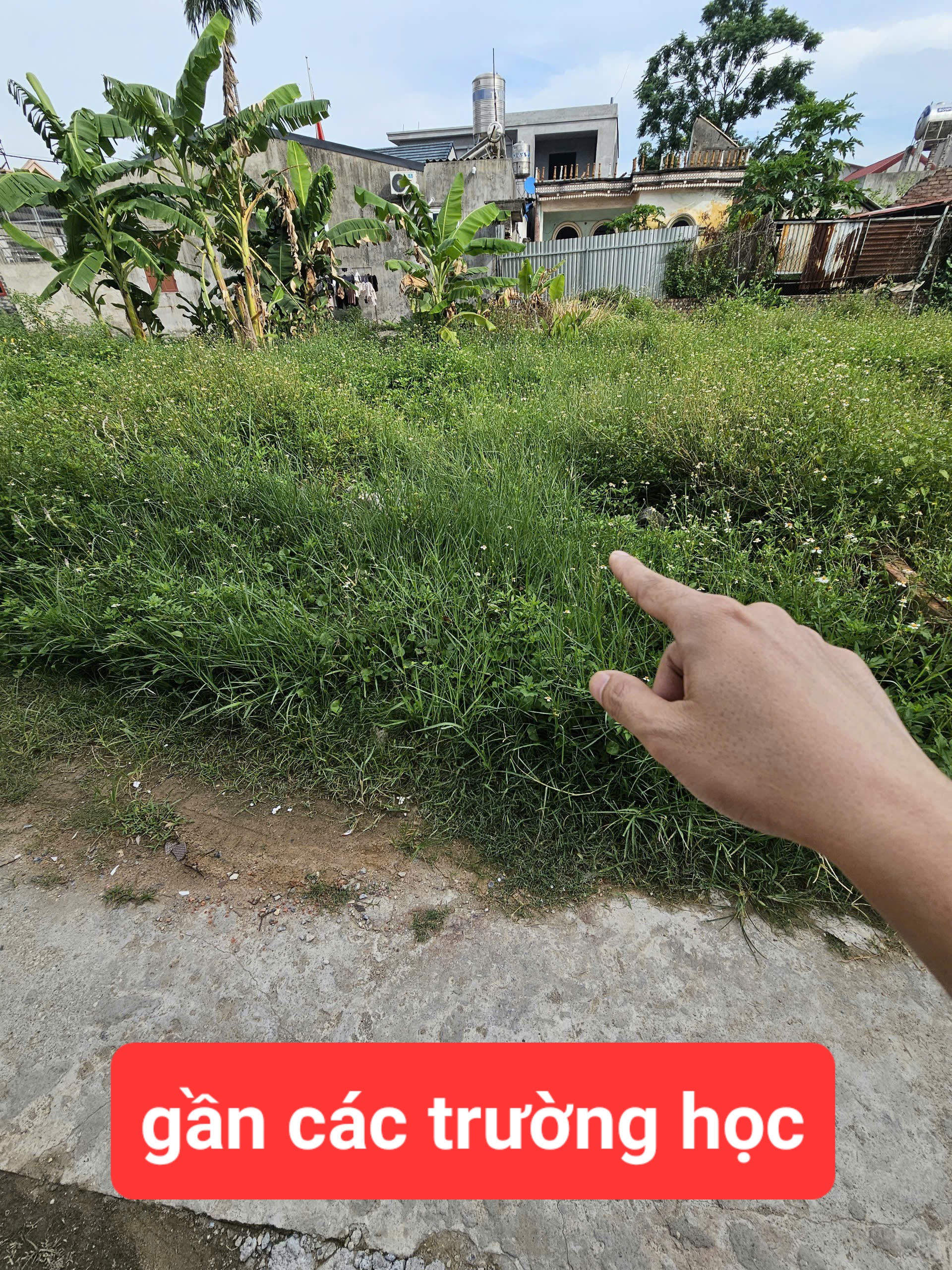 0358357986