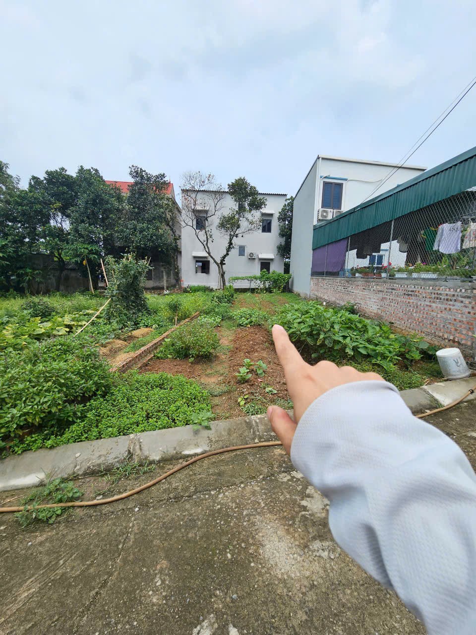 Bán đất