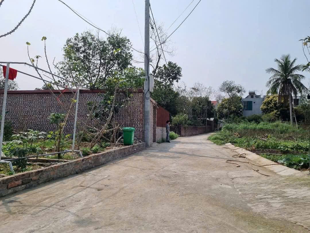 Bán đất
