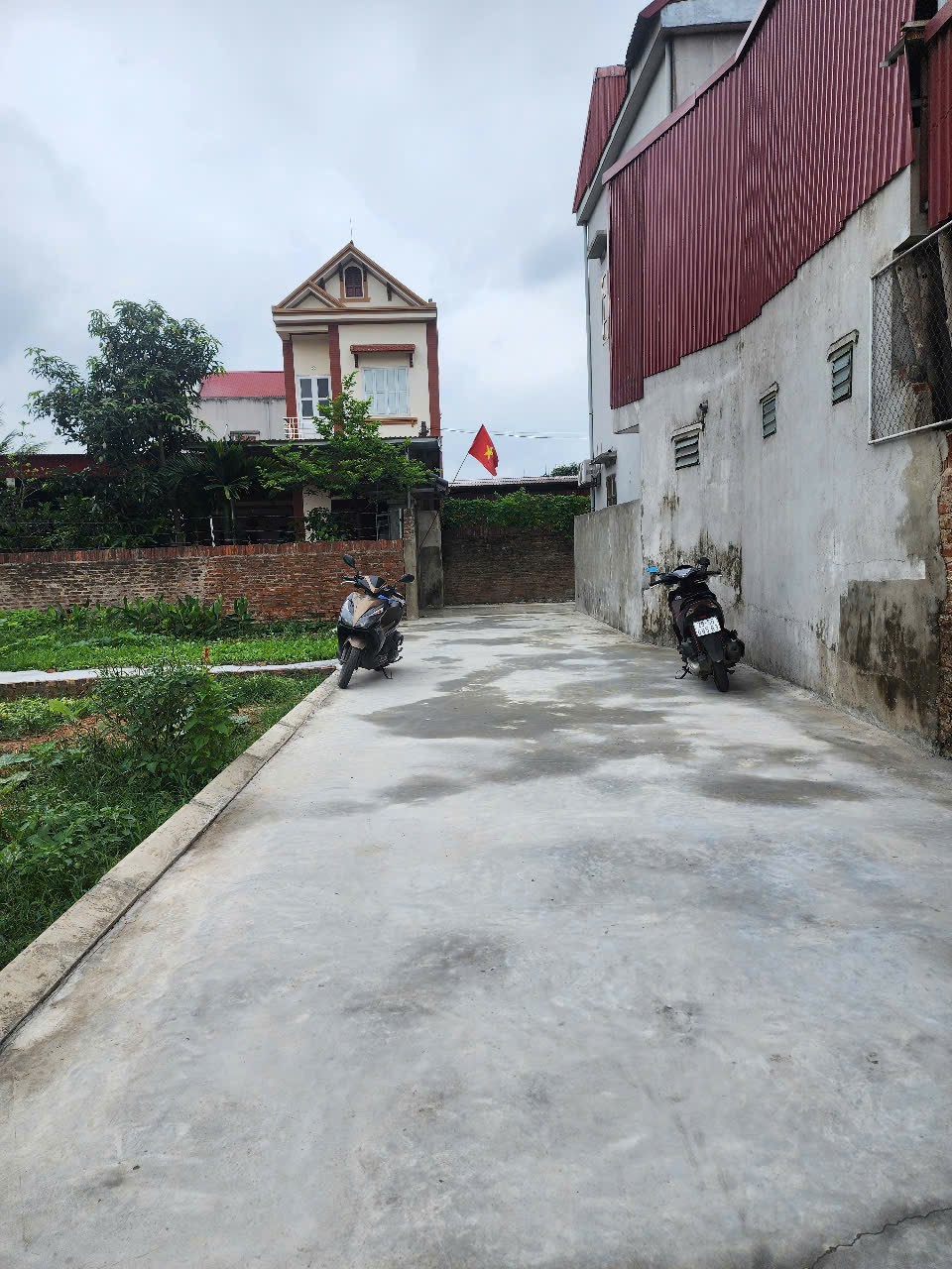 Bán đất